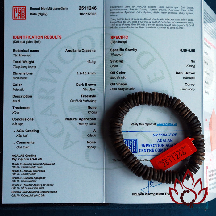 Vòng Trầm Hương Hạt Dẹp | 10 Ly | Trầm Bì Rễ Tự Nhiên | Vip